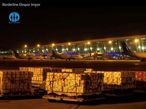 KKP Gandeng Angkasa Pura II Beri Edukasi Karantina Ikan di Neptune TV