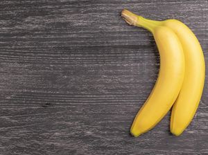 Ada 3 Jenis Diphallia alias Penis Ganda, Apa Saja Bedanya?