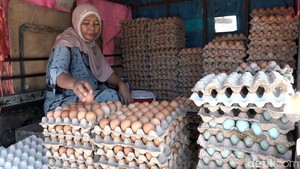 Pasokan Ayam-Telur Berlebih Saat MBG Libur, Hotel-Restoran Diminta Ikut Serap