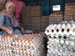 Emak-emak di Polman Meradang Harga Daging Ayam-Telur Naik Jelang Lebaran