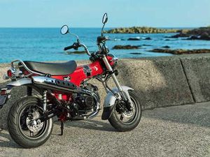 Motor Legendaris Honda Dax 125 Bisa Dipesan di Indonesia, Tapi... Motor Legendaris Honda Dax 125 Bisa Dipesan di Indonesia, Tapi...