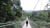 4 Jembatan Ikonik di Indonesia