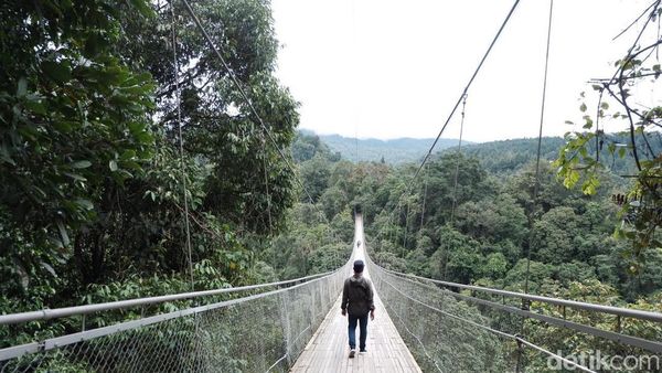 4 Jembatan Ikonik di Indonesia