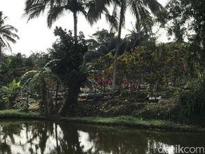 Cerita Warga Sukabumi soal Suara Gemuruh Misterius