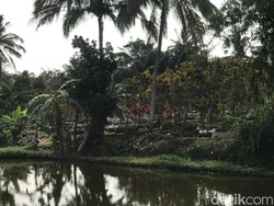 Cerita Warga Sukabumi soal Suara Gemuruh Misterius