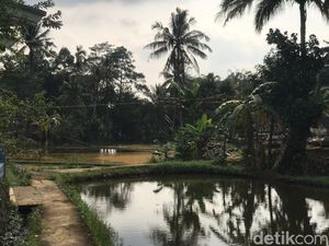 Warga Cisaat: Suara Gemuruh Misterius Muncul Diikuti Getaran Kecil Warga Cisaat: Suara Gemuruh Misterius Muncul Diikuti Getaran Kecil