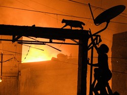 Pasar Gembrong Kebakaran, Itu Pasar Apa?