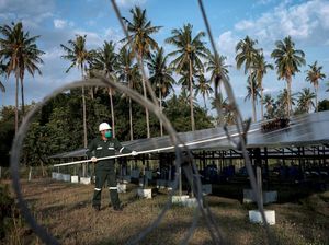 Peduli Bumi, Ini Sederet Langkah PLN Turunkan Emisi Global di RI