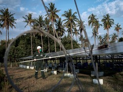 Peduli Bumi, Ini Sederet Langkah PLN Turunkan Emisi Global di RI