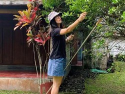 Most Pop: Potret Rumah Sederhana Eross Sheila on 7 di Yogyakarta