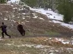 Hampir Mati Demi Konten, Pria Ini Rela-relain Dikejar Bison