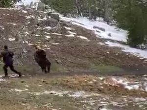 Hampir Mati Demi Konten, Pria Ini Rela-relain Dikejar Bison Hampir Mati Demi Konten, Pria Ini Rela-relain Dikejar Bison