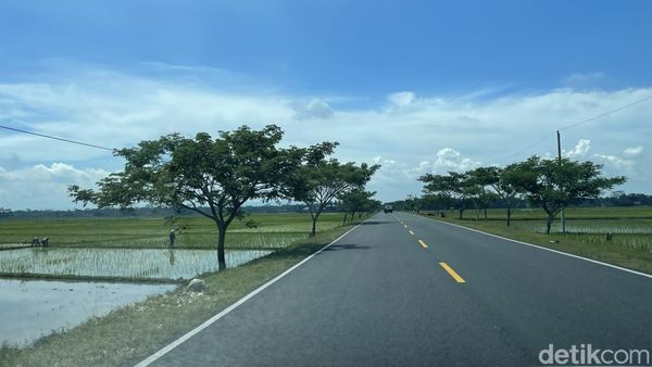 Penampakan Jalur Mudik via Pansela Rute Pangandaran-Gunungkidul Jogja