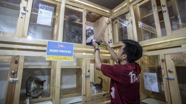 Jasa Penitipan Hewan Ketiban Rezeki Jelang Lebaran