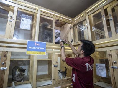Jasa Penitipan Hewan Ketiban Rezeki Jelang Lebaran