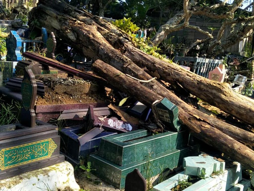 Dua Pekuburan di Samarinda Tertimpa Pohon Tumbang, 55 Makam Rusak