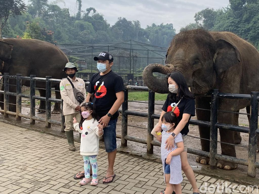 Liburan di Lembang Park and Zoo: Fasilitas hingga Harga Tiket