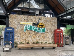 Pakai Transportasi Umum ke Lembang Zoo Park, Ini Rute dan Tarifnya