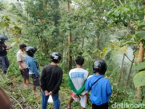 Pikap Terjun ke Jurang 100 Meter di Kulon Progo, Begini Kondisi 4 Penumpangnya