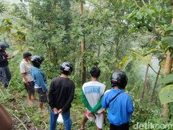 Pikap Terjun ke Jurang 100 Meter di Kulon Progo, Begini Kondisi 4 Penumpangnya
