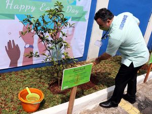 Jokowi Wajibkan Tanam Pohon di Kantor untuk Kurangi Polusi Jokowi Wajibkan Tanam Pohon di Kantor untuk Kurangi Polusi