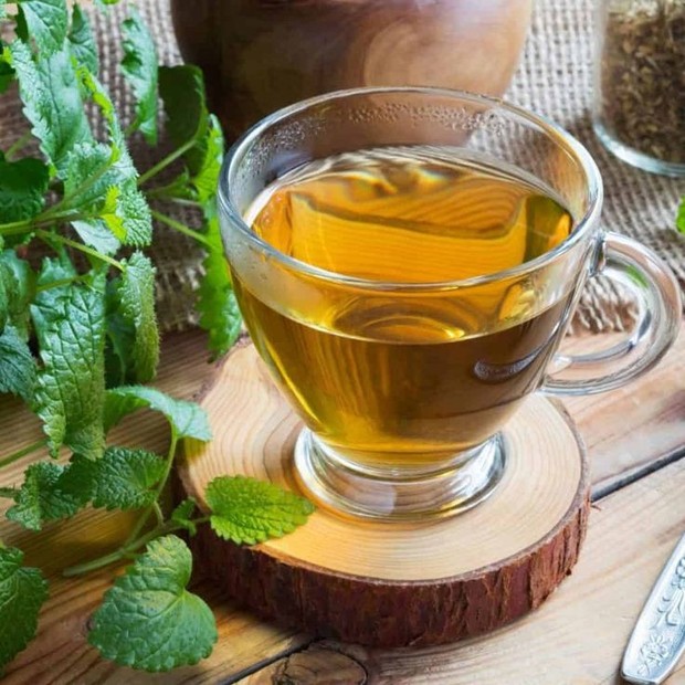 Teh lemon balm
