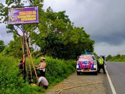 Ini Titik Rawan Kecelakaan Pantura Situbondo, Terbanyak di Baluran