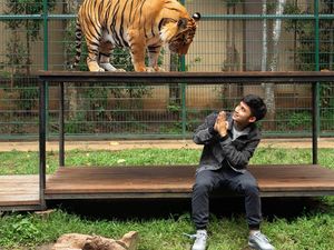 Alshad Ahmad Jadi Kontroversi, Ini Kebun Binatang Mini di Rumah Mewahnya Alshad Ahmad Jadi Kontroversi, Ini Kebun Binatang Mini di Rumah Mewahnya