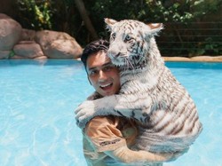Kontroversi Alshad Ahmad Pelihara 3 Ekor Harimau di Rumahnya