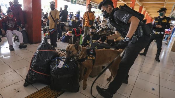 Anjing Pelacak Sisir Barang Bawaan Pemudik di Terminal Ini