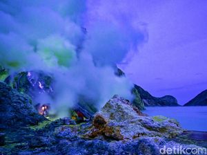 Triangle Diamond: Destinasi Wisata Unggulan Banyuwangi, Ada Apa Saja? Triangle Diamond: Destinasi Wisata Unggulan Banyuwangi, Ada Apa Saja?