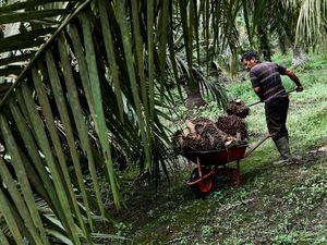 Agroindustri Minyak Sawit