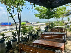Wow! di Rest Area KM 575 A Solo-Ngawi Ada Kafe Kekinian Tema Kebun