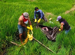 Kakek 76 Tahun di Minahasa Ditemukan Tewas Usai Hilang 5 Hari