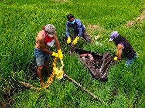 Kakek 76 Tahun di Minahasa Ditemukan Tewas Usai Hilang 5 Hari Kakek 76 Tahun di Minahasa Ditemukan Tewas Usai Hilang 5 Hari
