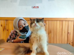 Pemiliknya Mudik, Hewan Peliharaan di Surabaya Mulai Ramai Dititipkan