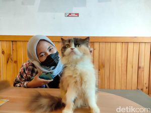 Pemiliknya Mudik, Hewan Peliharaan di Surabaya Mulai Ramai Dititipkan Pemiliknya Mudik, Hewan Peliharaan di Surabaya Mulai Ramai Dititipkan