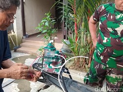 BRIN Sudah Kirim Tim buat Cek Nikuba, Begini Hasilnya