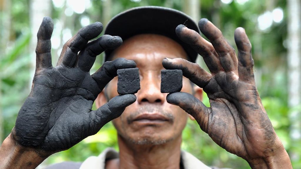 Warga Jambi Sulap Limbah Pelepah Pinang Menjadi Briket Warga Jambi Sulap Limbah Pelepah Pinang Menjadi Briket