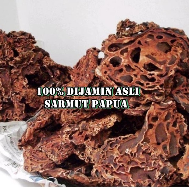 Sarang Semut Banyak Dijual di E-commerce/Foto : shopee.co.id/amazingglow.id