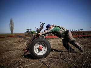 Petani Ukraina di Donbas Tetap Bertani Meski Digempur Militer Rusia