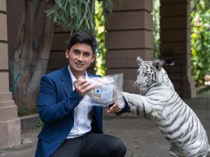 Alshad Ahmad Pernah Beri Pakan Harimau Wagyu A5 hingga Punya Resto Ramen