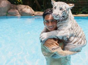 Alshad Ahmad Tegaskan Penyebab Kematian Bayi Harimau Alshad Ahmad Tegaskan Penyebab Kematian Bayi Harimau