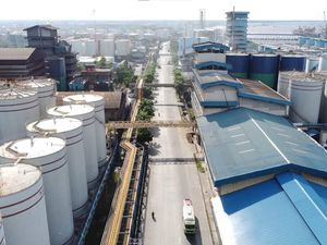 Jangan Nekat! Bea Cukai Pelototi Larangan Ekspor CPO cs