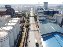 Jangan Nekat! Bea Cukai Pelototi Larangan Ekspor CPO cs