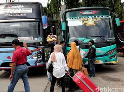 PO Bus: Kejadian Kan, Ada Agen Gak Jelas Turunkan Penumpang di Tengah jalan