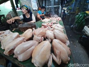 Harga Daging Ayam di Surabaya Naik Jadi Rp 38 Ribu Jelang Idul Adha Harga Daging Ayam di Surabaya Naik Jadi Rp 38 Ribu Jelang Idul Adha
