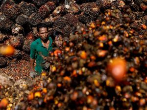 Tiga Catatan buat Bursa CPO RI Tiga Catatan buat Bursa CPO RI