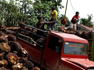PTPN V Catat Laba Rp 1,3 T, Tumbuh 312 Persen di Tengah Pendemi PTPN V Catat Laba Rp 1,3 T, Tumbuh 312 Persen di Tengah Pendemi