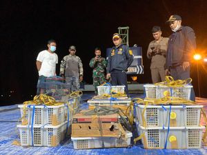 Petugas di Parepare Gagalkan Penyelundupan 483 Burung Ilegal dari Samarinda Petugas di Parepare Gagalkan Penyelundupan 483 Burung Ilegal dari Samarinda